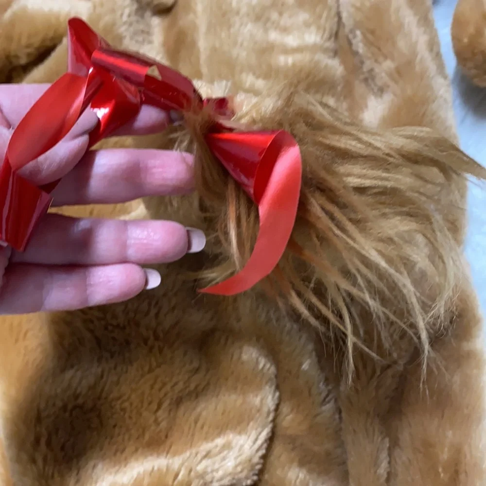 Lion Halloween Costume Size 12 Months
